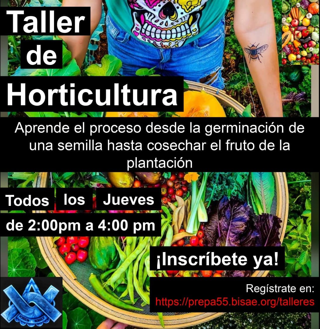 tallerbisae educacion ambiental