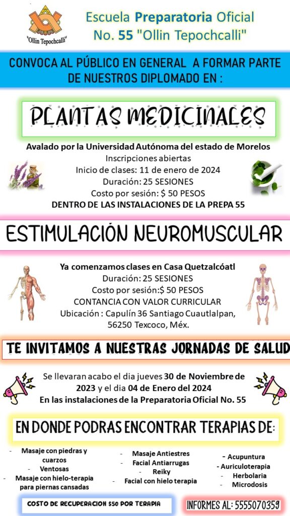 plantas medicinales