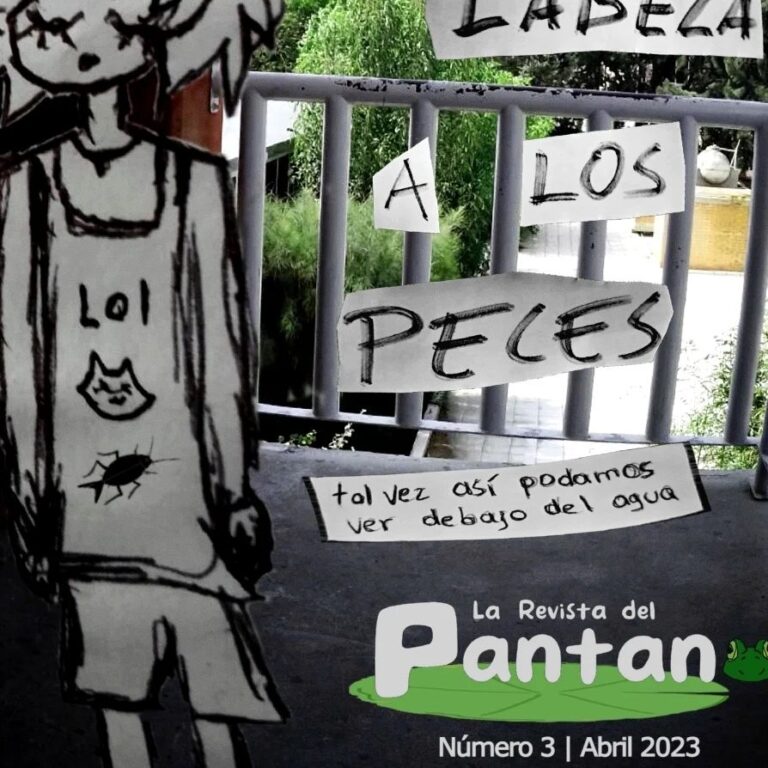 revista pantano3